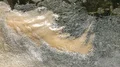 Water pollution foam,slow motion HD 동영상