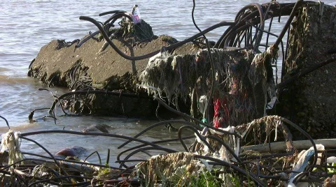 Water Pollution 库存影片 734008