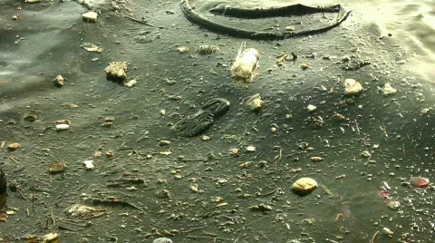 Water Pollution 스톡 동영상 878782