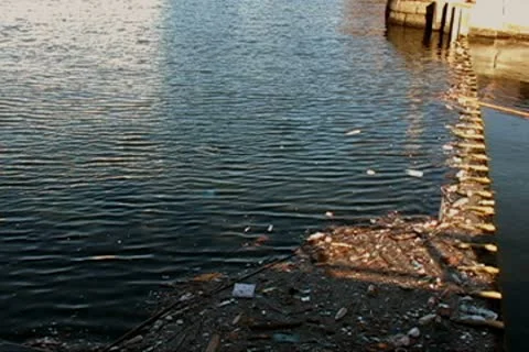 Water pollution  Stock Footage 10119718