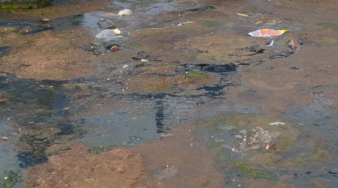 Water pollution Stock Footage 31763036