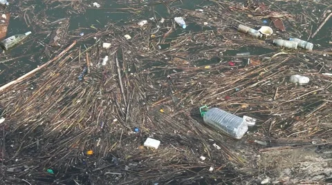 Water Pollution Stock Footage 40342547