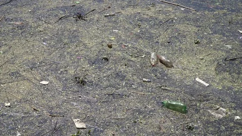 Water Pollution Stock Footage 84325671