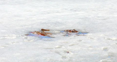 Water Pollution Stock Footage 88354909