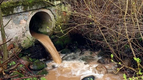 Water Pollution Stock Footage 90382077