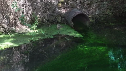 Water pollution Stock Footage 94287674