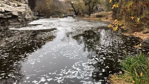 Water pollution Stock Footage 121424655
