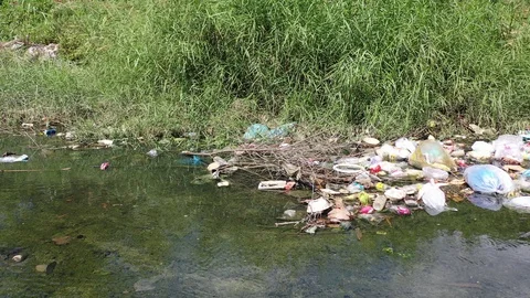 Water pollution Stock Footage 121986571