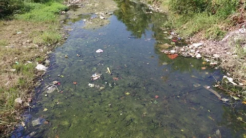 Water pollution Stock Footage 121986575