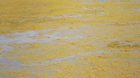 Water Pollution Stock Footage 169973932