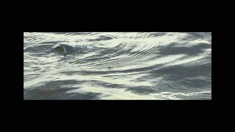 Water pollution - old garbage and oil patches on the surface. Stock Footage 142481947