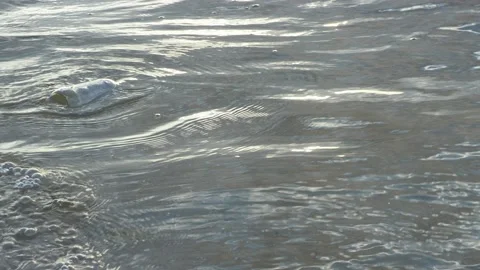 Water pollution - old garbage and oil patches on the surface. Stock Footage 142483464