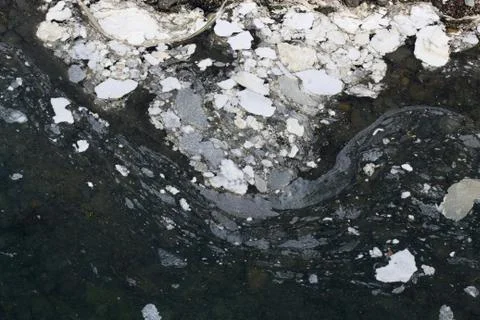 Water pollution Stock Photos