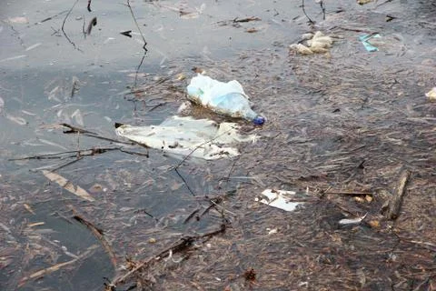 Water pollution Stock Photos