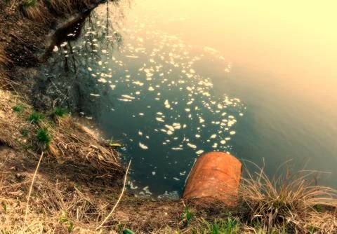 Water pollution Stock Photos