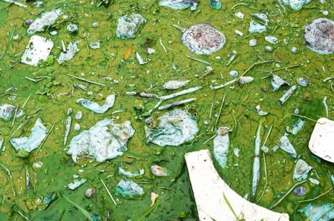 Water pollution Stock Photos