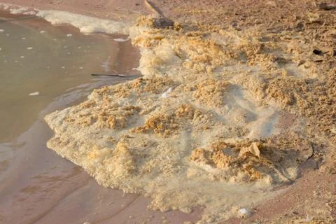 Water pollution Stock Photos