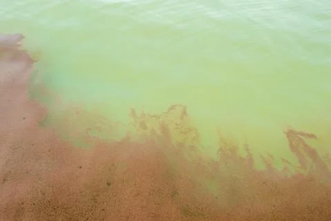Water Pollution Stock Photos