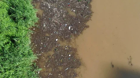 Water pollution in river Stock Footage 108418115