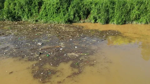Water pollution in river Stock Footage 108418152