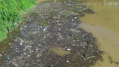 Water pollution in river Video stock 108418235