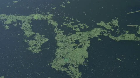 Water pollution in the river. Stock Footage 204943771