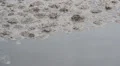 Water pollution. Sewage, dirty, polluted water. 2 HD Footage