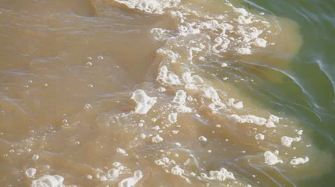 Water pollution; sewage; river Stock Footage 35920093