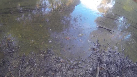 Water pollution texture close up Stock Footage 107220846