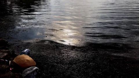 "Water pollution - various dirt floating at water, sea ​​surface'' Stock Footage 81747140