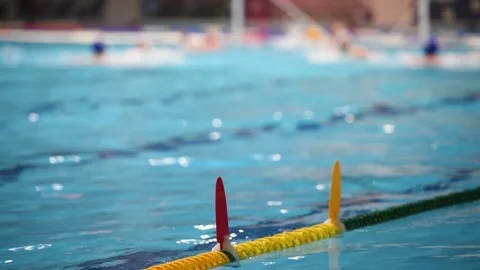 Water Polo Match Vídeo Stock 152736107