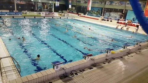 Water polo training in an indoor pool Video stock 83705239