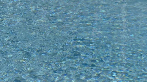 Water in a Pond Affected by Wind Stock Footage 105792751