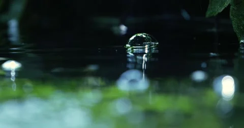 Water, Pond, Bubbles, Rain Video stock 166427846