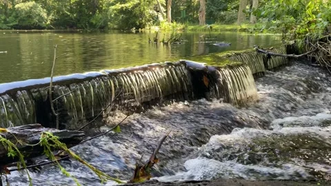 Water from a pond flows rapidly over a small waterfall - wide shot Stock Footage 161817977