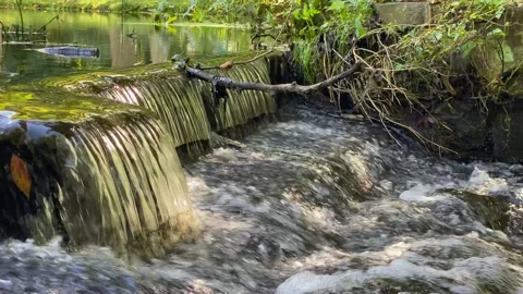 Water from a pond flows rapidly over a small waterfall - close up Stock Footage 161818006