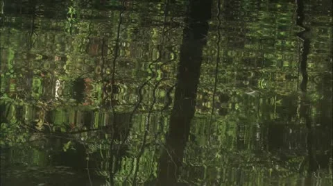 Water in pond Stock Footage 11078994