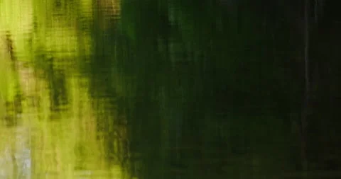 Water in the pond Stock Footage 132343794