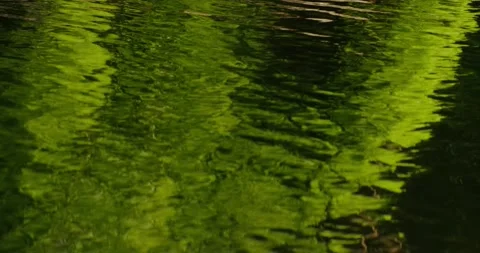 Water in the pond Stock Footage 133723690