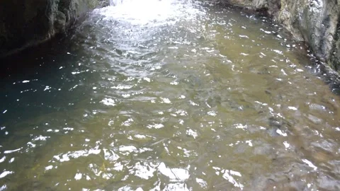 Water pond Stock Footage 148543333