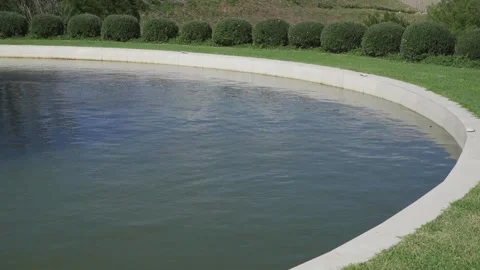 Water Pond Stock Footage 169225707