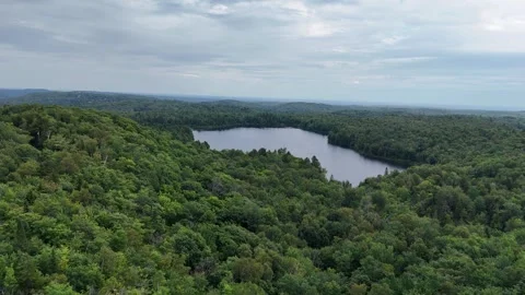 Water pond Stock Footage 281305288