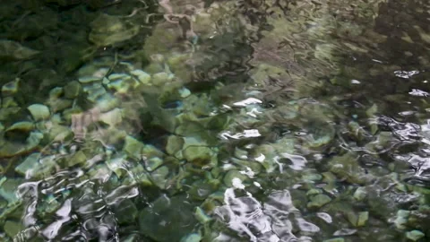 Water  in a pond Video stock 283461253