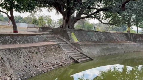 Water pond Stock Footage 324517068