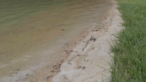Water pond slowmotion moving Stock Footage 109085546