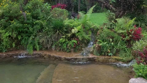 Water pool (4) Stock Footage 280395741