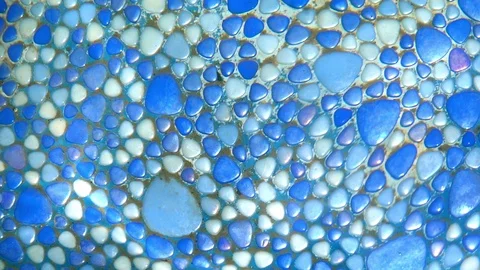 Water Pool Clean Aqua Surface Stock Footage 90235543