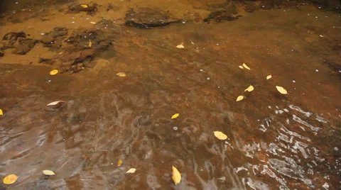 Water Pool 스톡 동영상 32371003