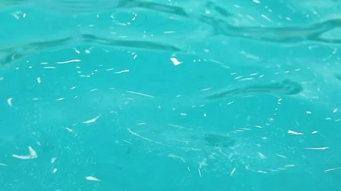 Water is in the pool Stock Footage