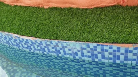 Water pool with greenary Stock Footage 247170284